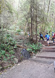 Grouse Grind