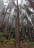 Grouse Grind