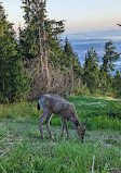 Grouse Grind