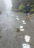 Grouse Grind