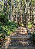 Grouse Grind