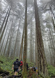 Grouse Grind