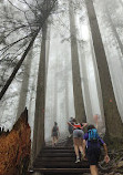 Grouse Grind