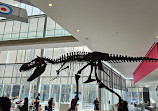 Royal Alberta Museum