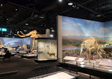 Royal Alberta Museum