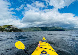 Gros Morne Adventures