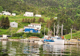 Gros Morne Adventures