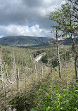 Gros Morne Mountain Hiking Trail