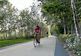 Bloomingdale Trail Park