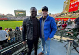 Wrigley Field