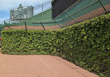 Wrigley Field