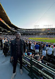 Wrigley Field