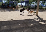 East River Esplanade Dog Run