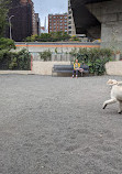 East River Esplanade Dog Run