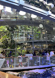 California Academy of Sciences