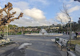 California Academy of Sciences