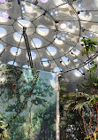 California Academy of Sciences