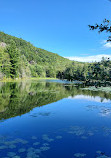 Alfred Kelly Nature Reserve