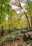 Alfred Kelly Nature Reserve