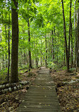 Alfred Kelly Nature Reserve