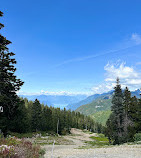 Cypress Mountain