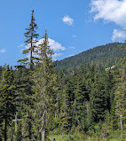 Cypress Mountain