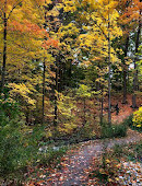 Heart Lake Conservation Park