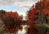 Heart Lake Conservation Park