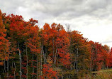 Heart Lake Conservation Park