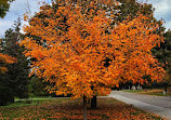 Heart Lake Conservation Park