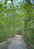 Esker Lake Trail