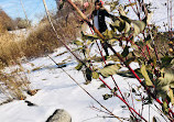 Esker Lake Trail