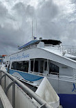 Harbor Breeze Cruises