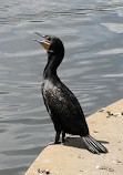 Silver Lake Park