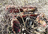 West Chicago Prairie Forest Preserve