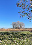 West Chicago Prairie Forest Preserve