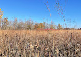 West Chicago Prairie Forest Preserve