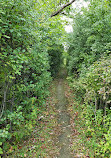 Lincoln Woods Nature Preserve