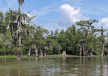 Beyond the Bayou Tours