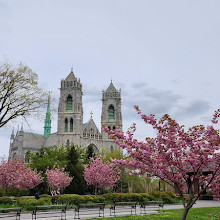 Cathedral Basilica of the Sacred Heart