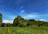 Bethpage State Park