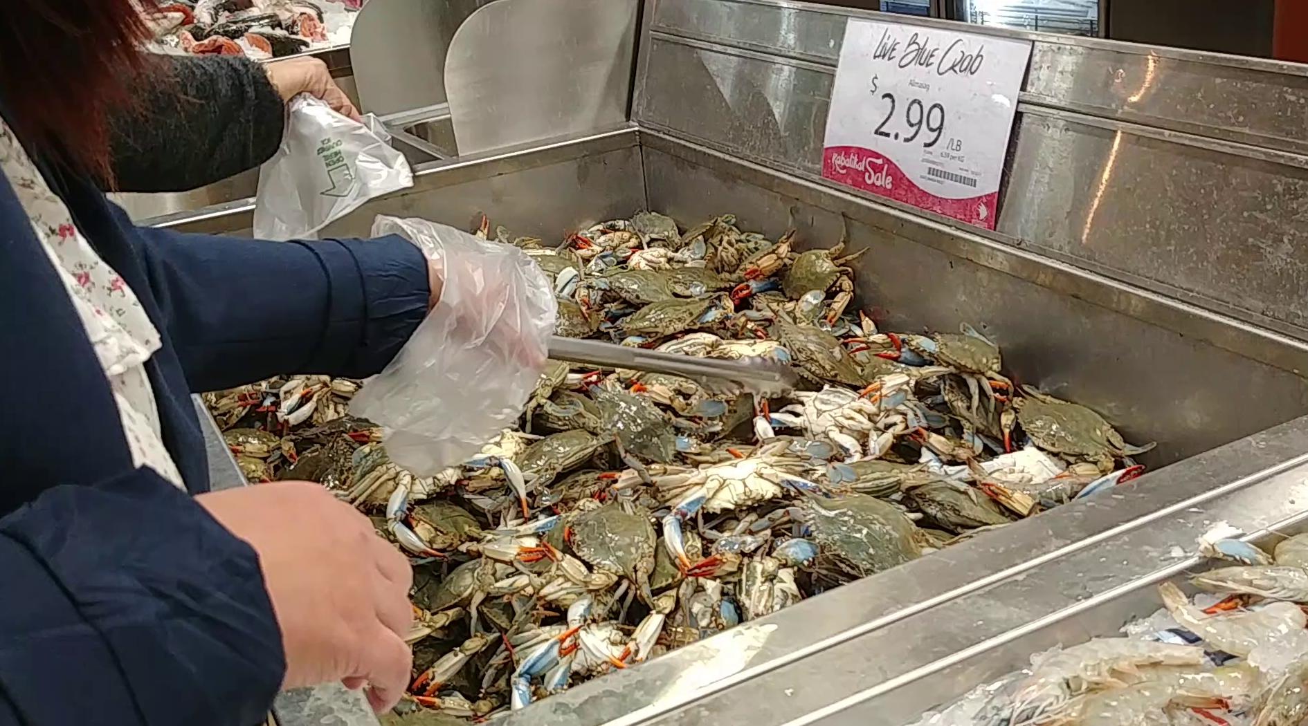 Seafood City Supermarket