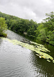 Mountain Lakes Park