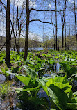 Mountain Lakes Park