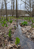 Mountain Lakes Park