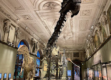 Musée d'Histoire Naturelle de Vienne