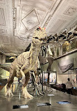 Museo de Historia Natural de Viena