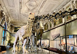 Museum of Natural History Vienna