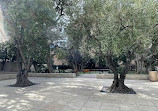 Los Angeles Central Library