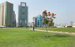 Al Etihad-park